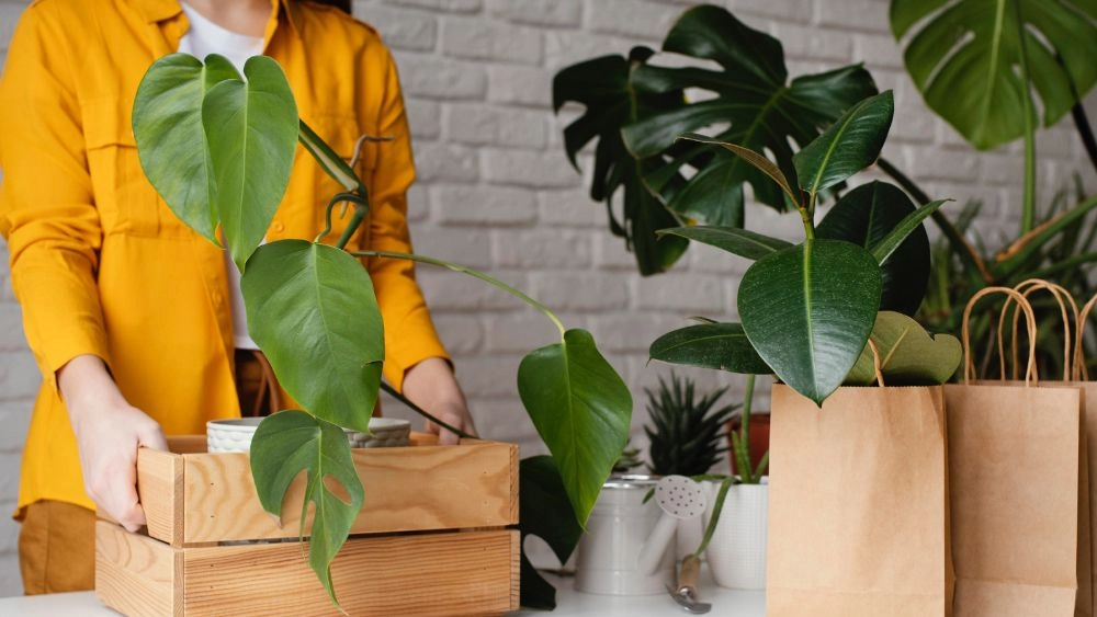move plants